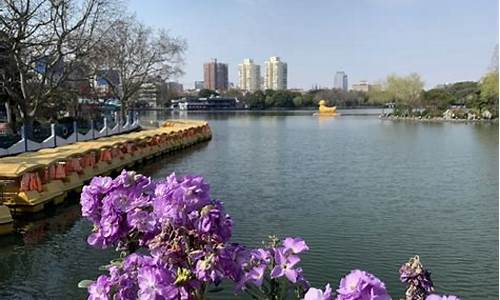 上海长风公园门票多少一张2023年11月