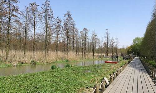 上海青郊野公园攻略路线图_上海青郊野公园