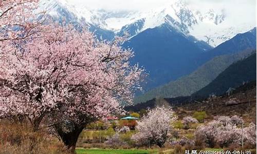 林芝景点海拔多少米_林芝海拔有多高有些什么景点