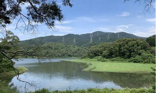 厦门天竺山森林公园地图_厦门天竺山森林公园