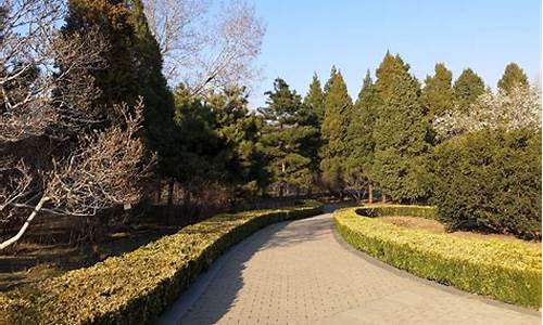 北京植物园自驾游攻略_北京植物园旅游路线