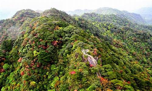 南岭森林公园酒店_南岭森林公园在哪里