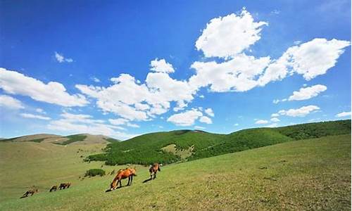 丰宁坝上草原旅游攻略_丰宁坝上草原旅游攻略1天