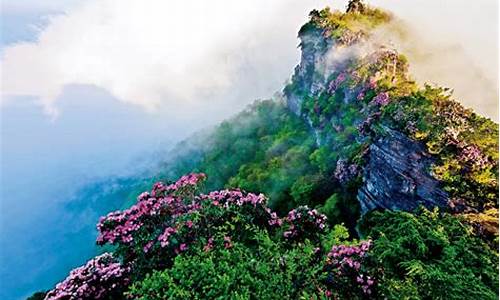 光雾山旅游攻略香炉山怎么走,光雾山的香炉山的特点有哪些