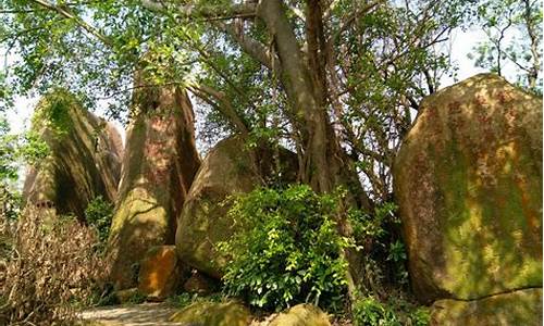 石花山文化广场,石花山公园介绍牌