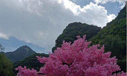 太平森林公园一日游攻略,太平森林公园门票团购