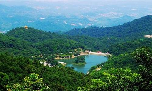 广州帽峰山森林公园门票多少钱_广州帽峰山生态旅游开发有限公司