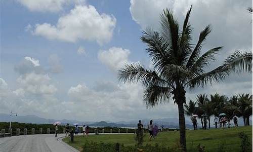 滨海大道红树林公园车站,滨海大道红树林路段