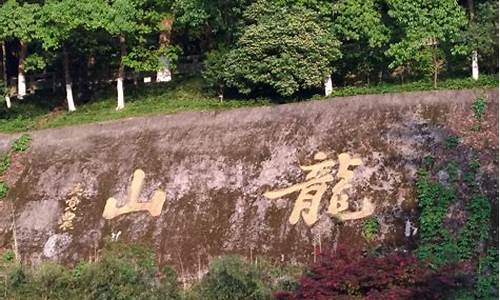 库尔勒龙山公园门票多少钱,龙山公园门票多少钱