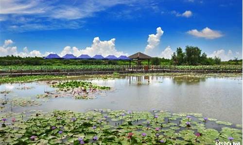 南沙湿地公园住宿_南沙湿地公园附近民宿