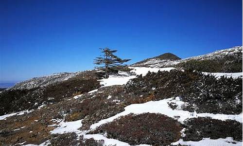 轿子雪山旅游路线,轿子雪山自驾游攻略