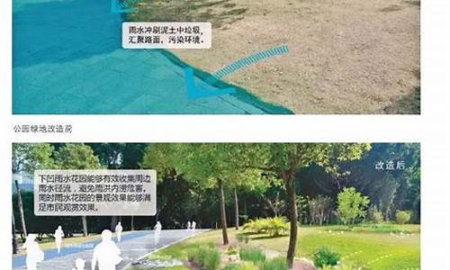 东江公园海绵设施及绿化改造工程施工,东江公园海绵设施及绿化改