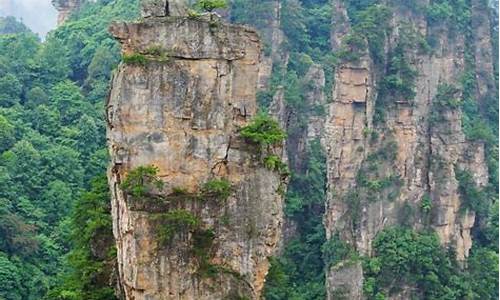 张家界旅游攻略带孩子自由行路线,张家界旅游攻略带孩子自由行路线怎么走