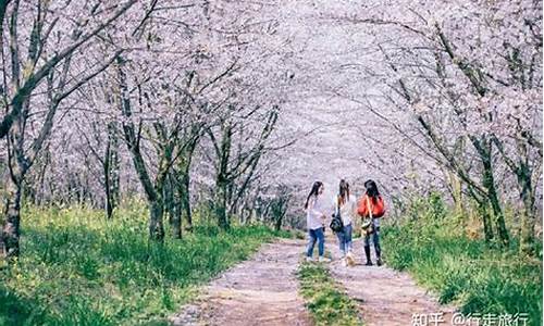 春季热门景点_春季旅游景点推荐