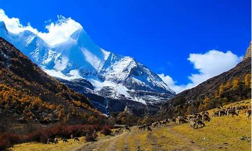 去稻城亚丁攻略旅游_想去稻城亚丁旅游有什么好的路线可以推荐