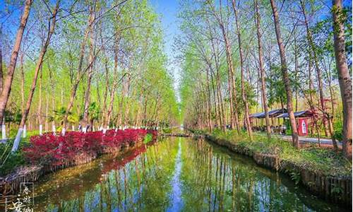 合肥滨湖湿地公园有哪些景点图片,合肥滨湖湿地公园有哪些景点