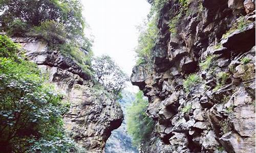 红河谷公园门票多少钱,红河谷森林公园旅游攻略红河谷旅游须知