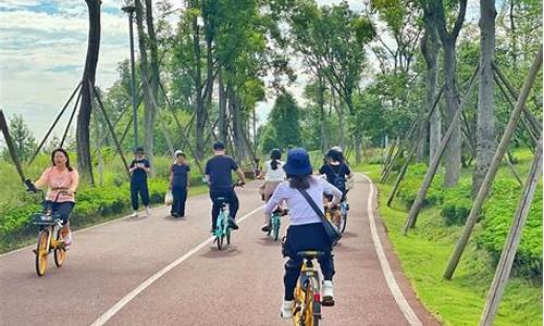 锦城绿道骑行路线,锦城绿道100公里