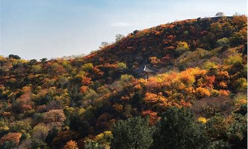 喇叭沟门原始森林公园门票,喇叭沟门国家森林公园旅游攻略