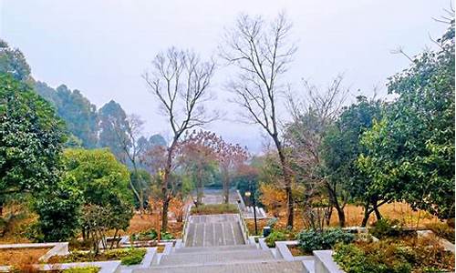 成都凤凰山公园门票,成都凤凰山旅游景区门票多少钱