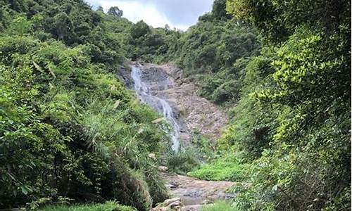 马峦山郊野公园攻略自驾上山,马峦山郊野公园开放时间