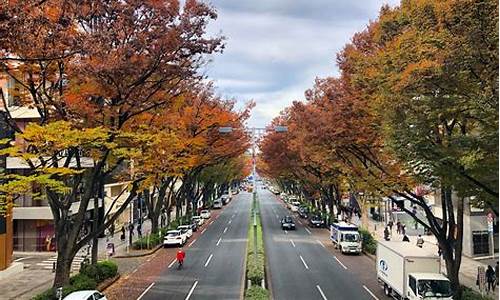 东京旅游攻略马蜂窝-东京旅游景点携程