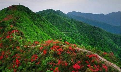 大丰旅游景点大全-大丰景点大全排名