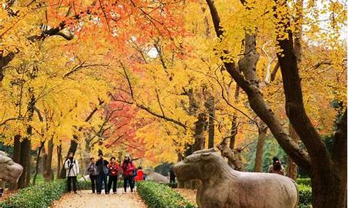 南京秋季去哪里玩-南京秋季旅游攻略大全