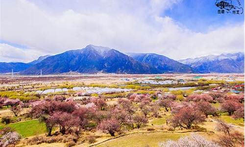 林芝景点排行-林芝旅游景点林芝景点