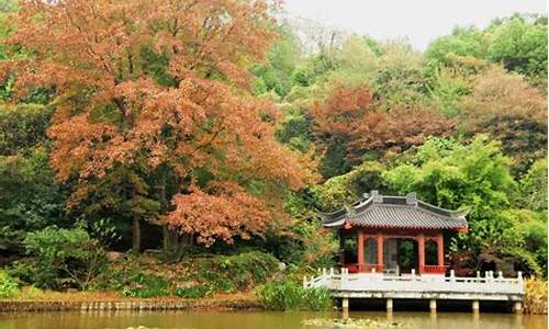 南京景点排行榜一日游-南京景点排行榜一日游最新