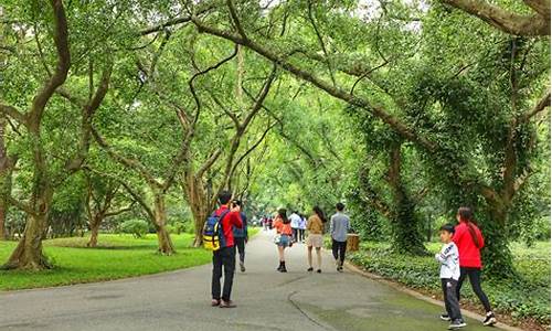 华南植物园游览路线,华南植物园攻略详解
