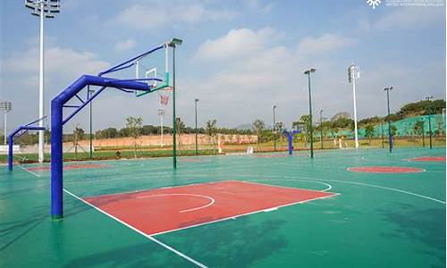武汉中心公园篮球场,武汉哪个公园有篮球场
